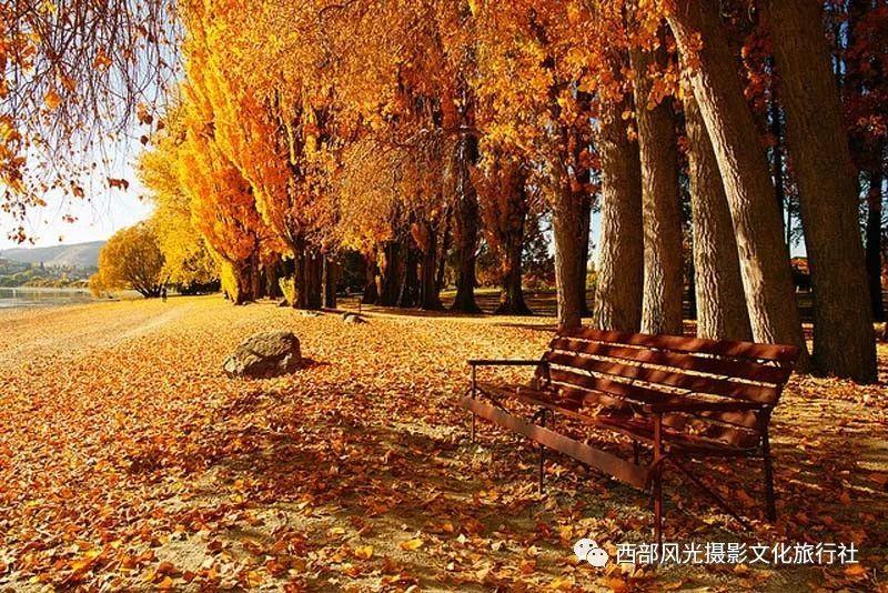 2023年浙江经济总量迈上8万亿新台阶 经济大省何以勇挑大梁