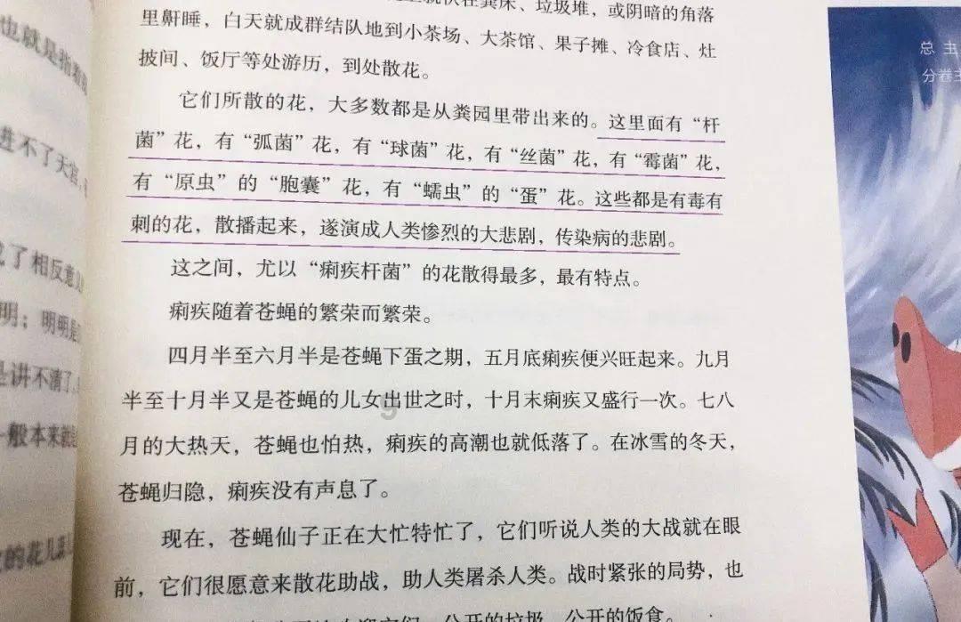 西瓜地逃生