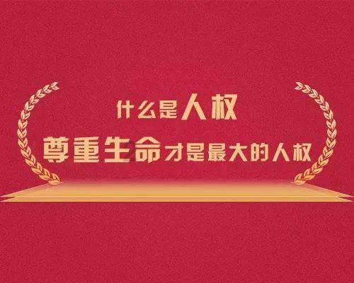 疯狂的小偷