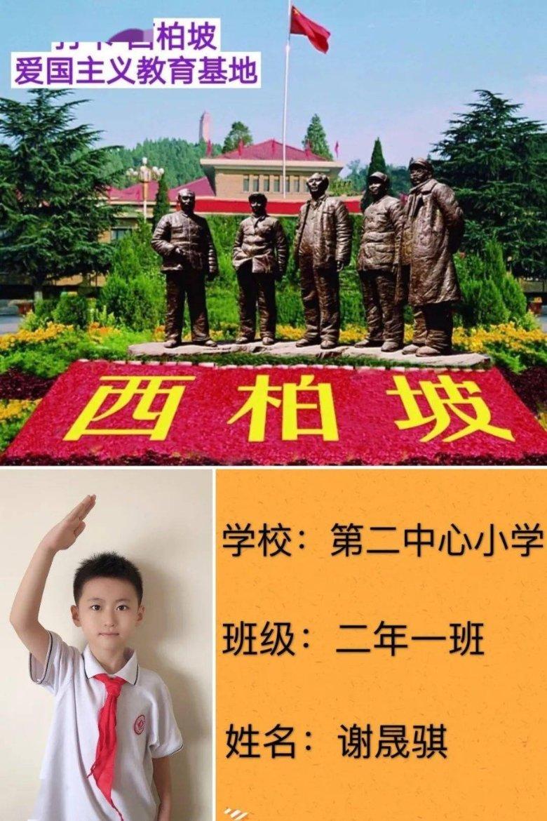 救援受困的鹭