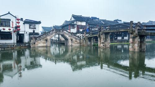 动物帮帮忙保卫家园